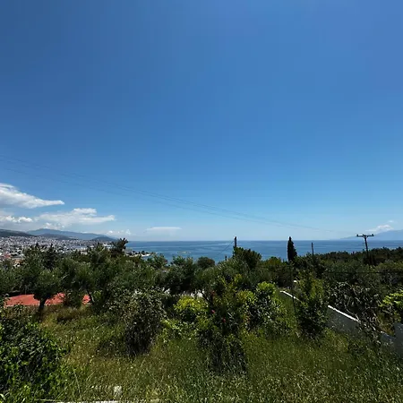 Margarita's House *